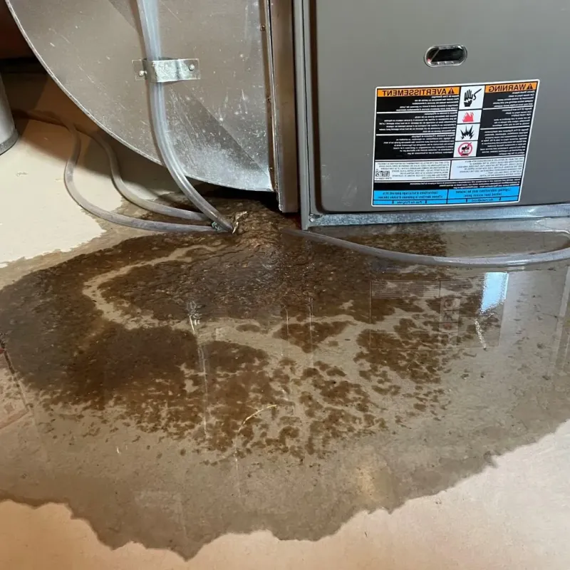 Pipe Burst and Leak Restoration in Pimmit Hills, VA